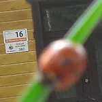 Apartamenty Willa Nimfa * Szklarska Poręba