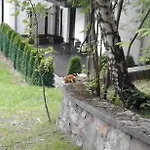 Apartamenty Willa Nimfa Szklarska Poreba