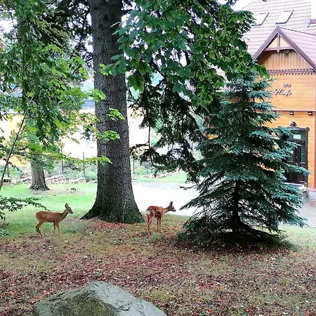 Willa Nimfa Apartamenty W Centrum *
