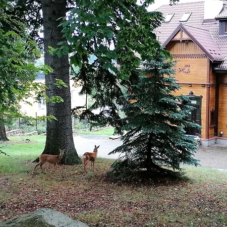 Willa Nimfa Apartamenty W Centrum Apartment *
