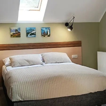 Apartment Willa Nimfa Apartamenty W Centrum Szklarska Poreba