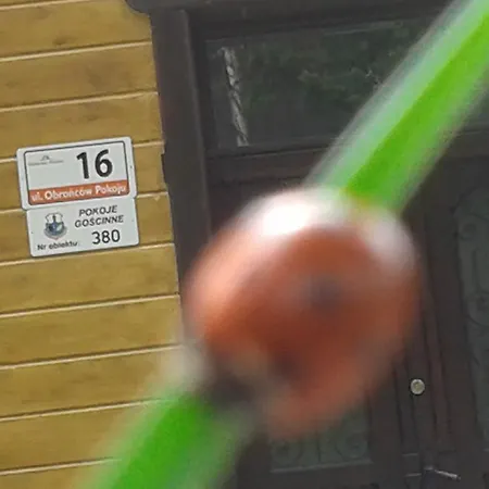 Willa Nimfa - apartamenty i pokoje w centrum * Sklářská Poruba