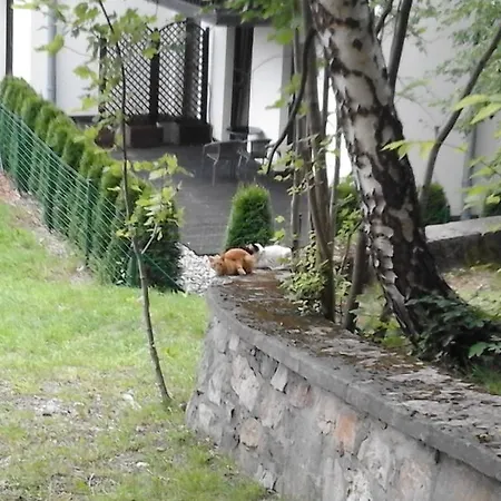 Willa Nimfa - Apartamenty I Pokoje W Centrum Szklarska Poreba