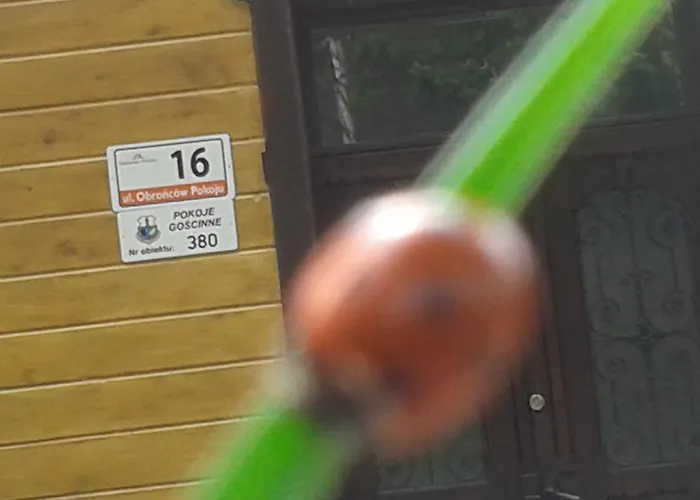 威拉尼姆法民宿 * 斯克拉斯卡波伦巴